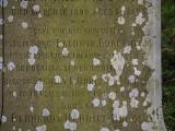 image of grave number 795244